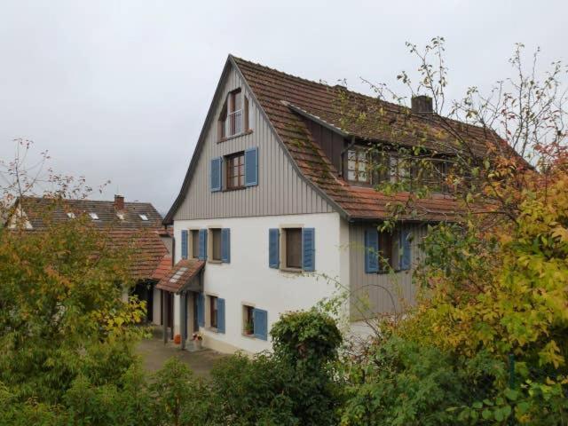 Ferienwohnung Holl-Horn Gaienhofen  Exterior foto